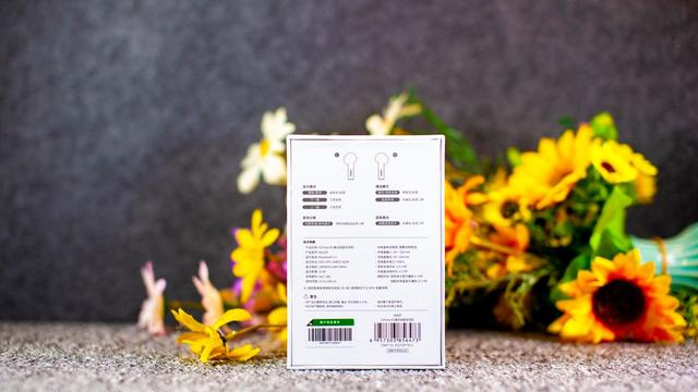 腾博官网诚信为本,专业服务小海豚耳机体验：小身段大音质，，，，，，，AirPods百元平替