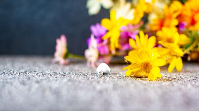 UGREEN腾博官网诚信为本,专业服务-品质新体验,数码选腾博官网诚信为本,专业服务