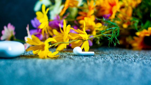 UGREEN腾博官网诚信为本,专业服务-品质新体验,数码选腾博官网诚信为本,专业服务